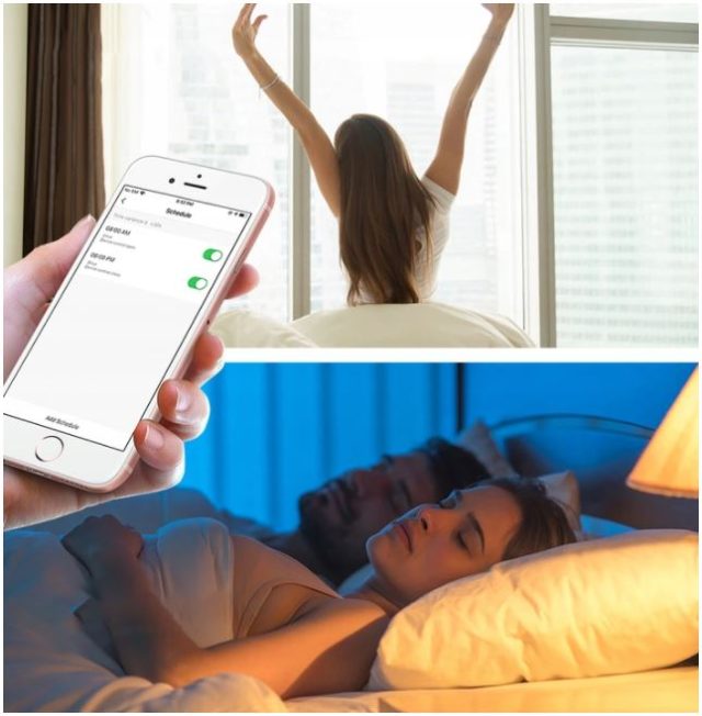 Sterownik Rolet TUYA ZigBee